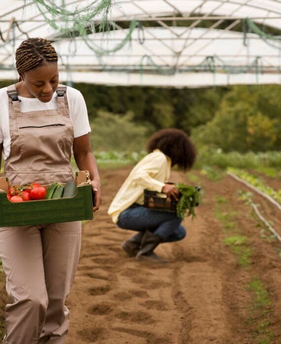 Farmers working together
