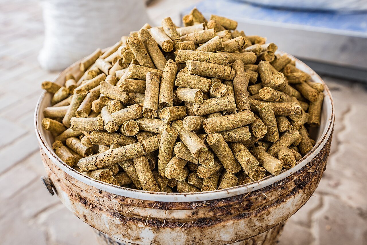 Animal feed pellets