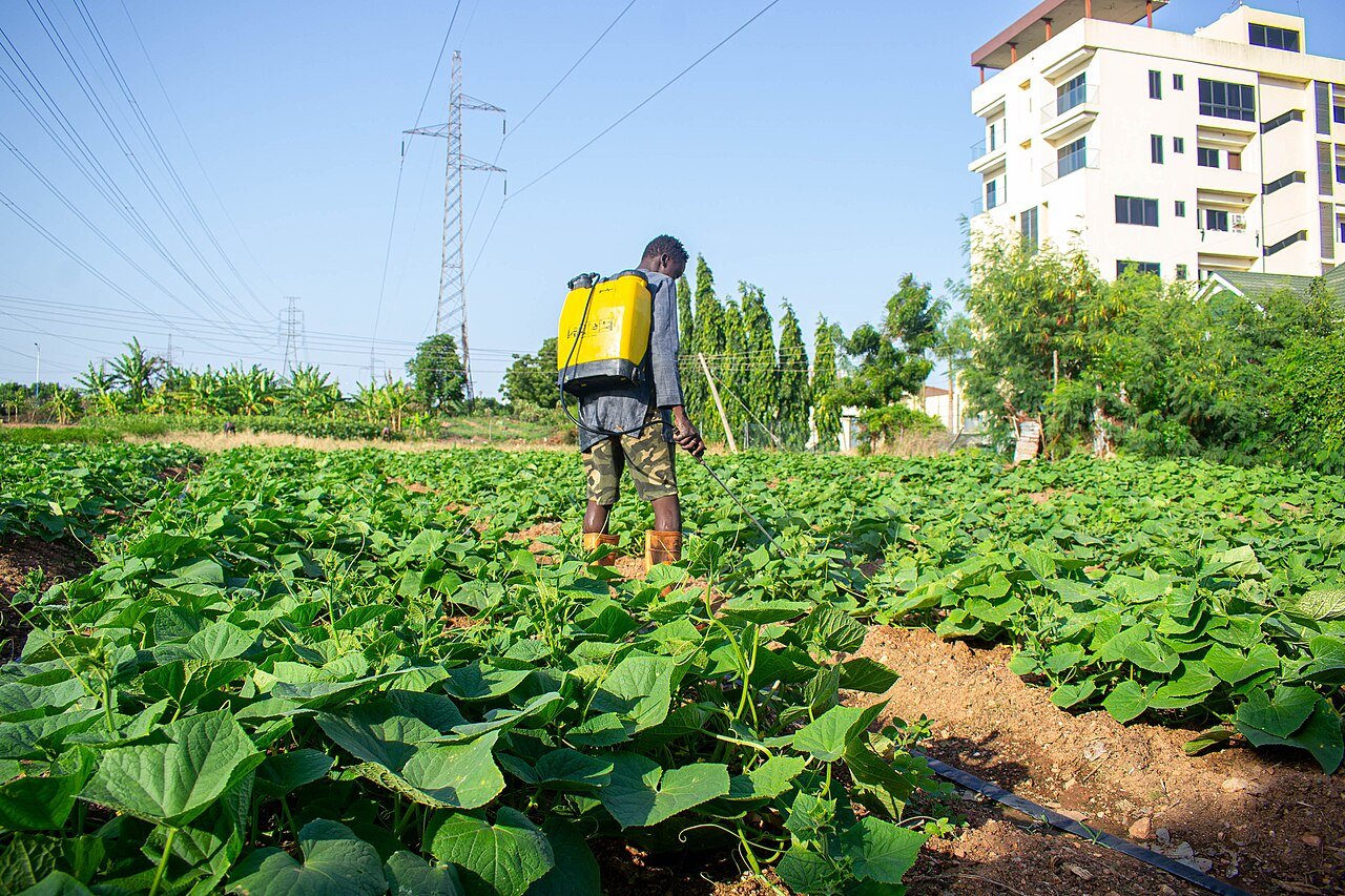 Farmer spraying crops
