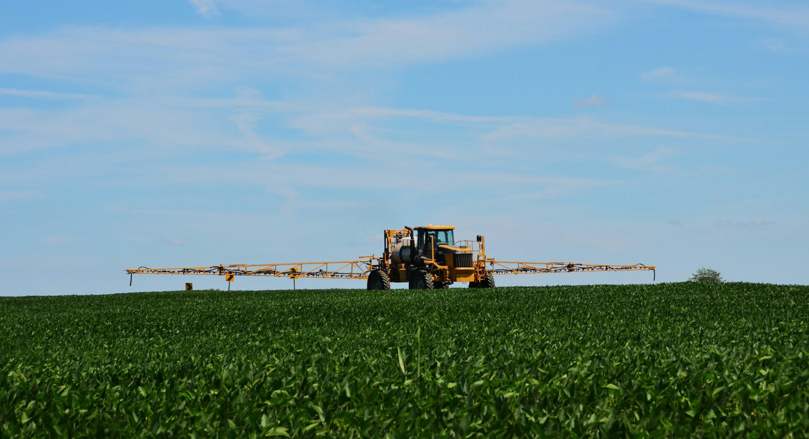 Agricultural sprayer moving through a green crop field