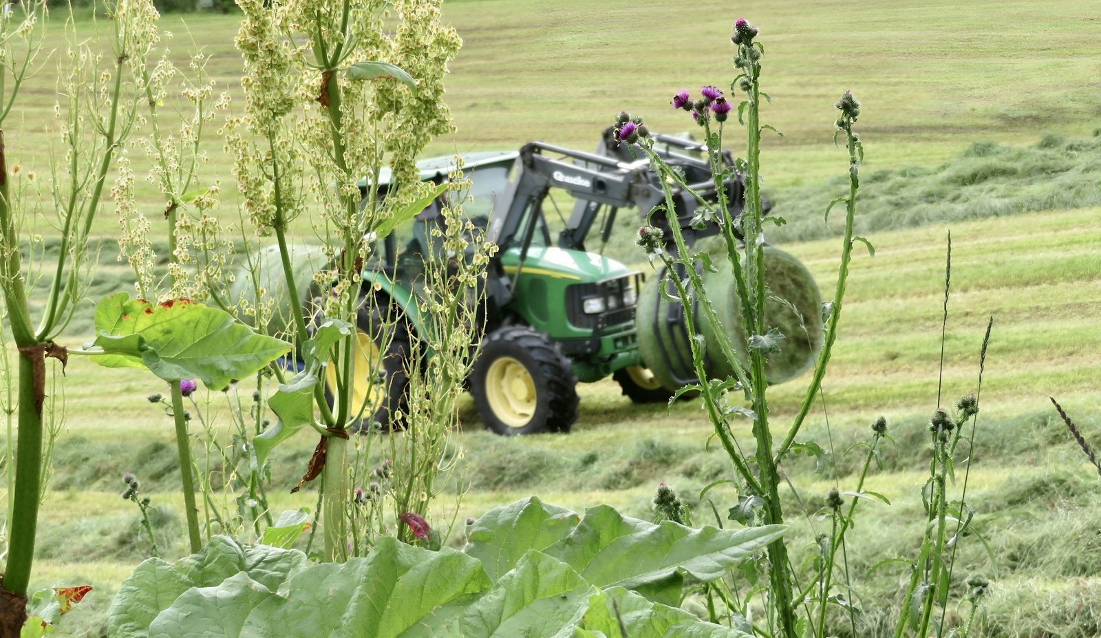 Tractor moving through a lush green field
